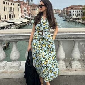 Zara Pear-Print Blue Midi Dress